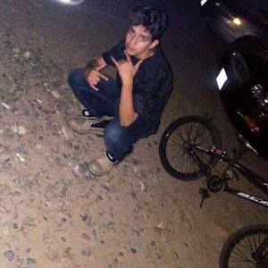 Meet your Posher, Lloyd